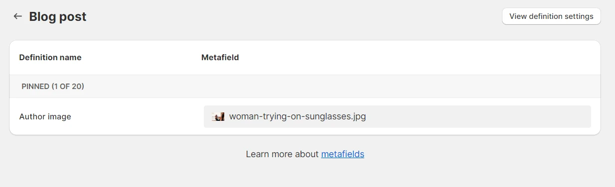 blogpost metafield