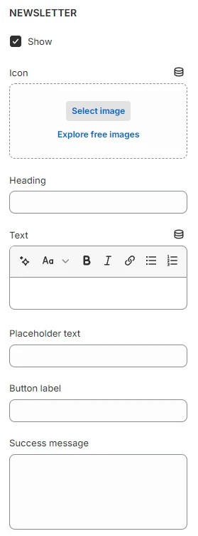 footer newsletter 