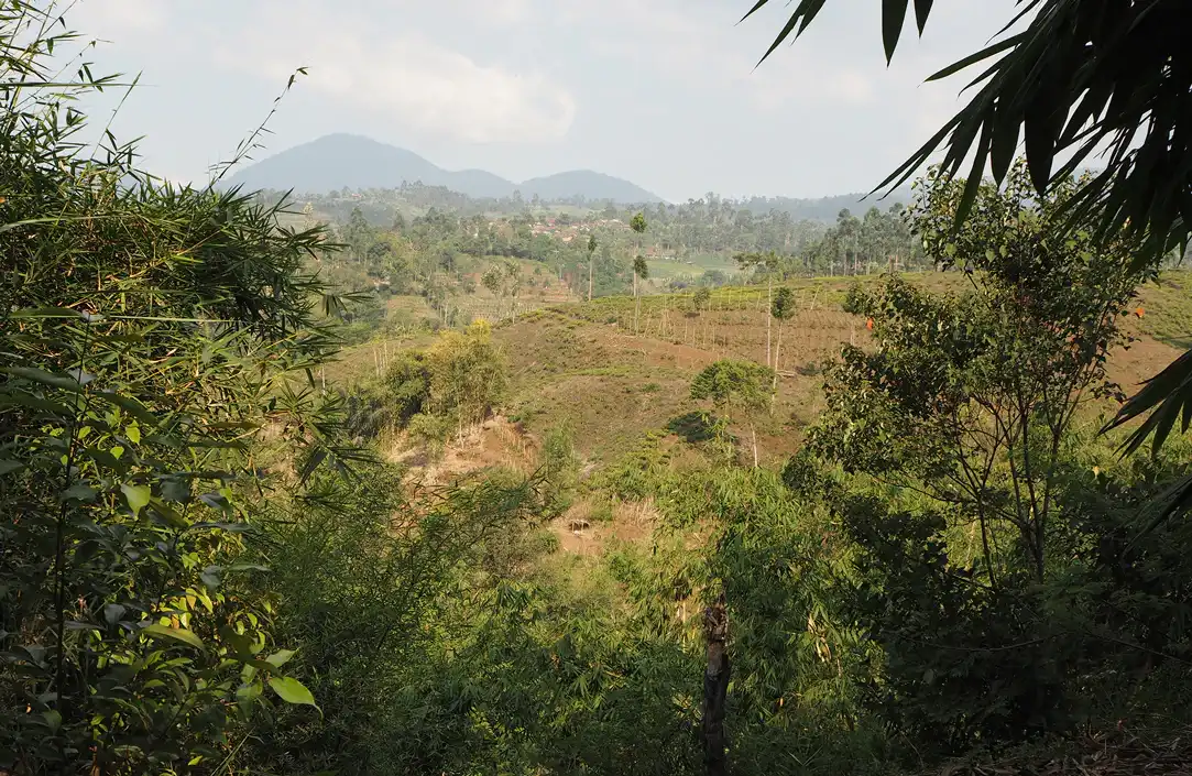 sightglass_our_company_sourcing