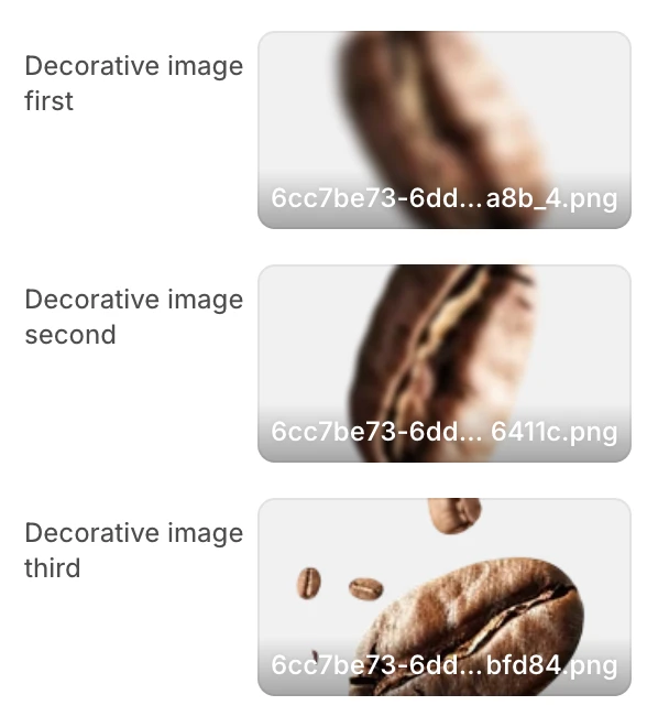 404 template section decor images