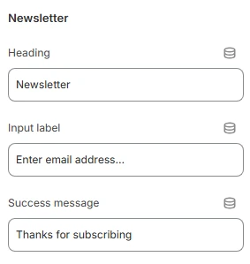 footer-newsletter
