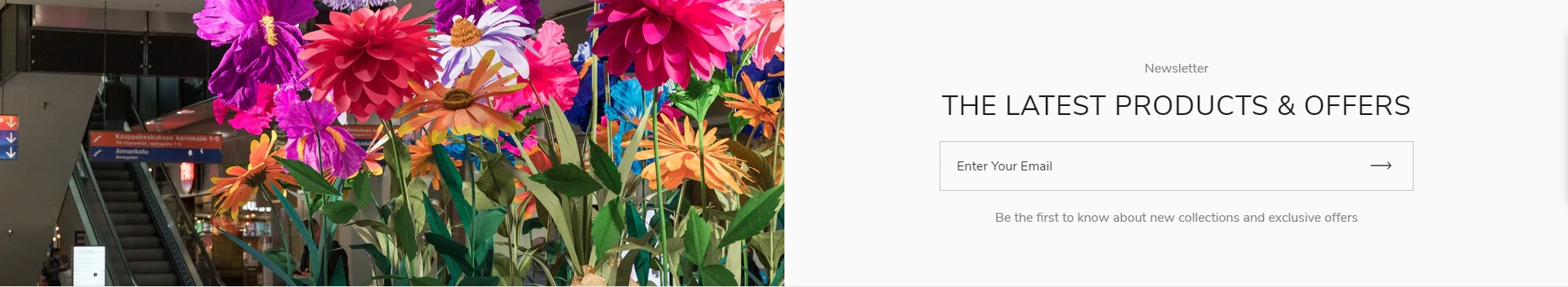 Newsletter (preview)