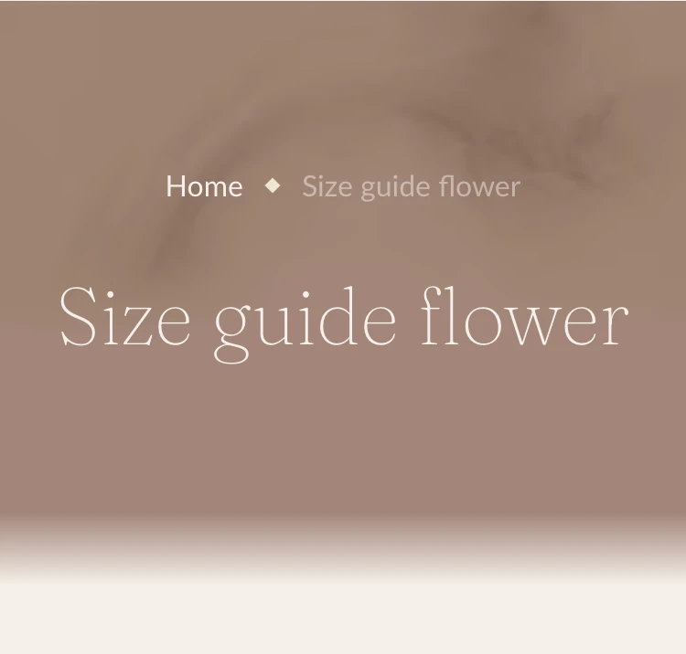 page-template-image-mobile