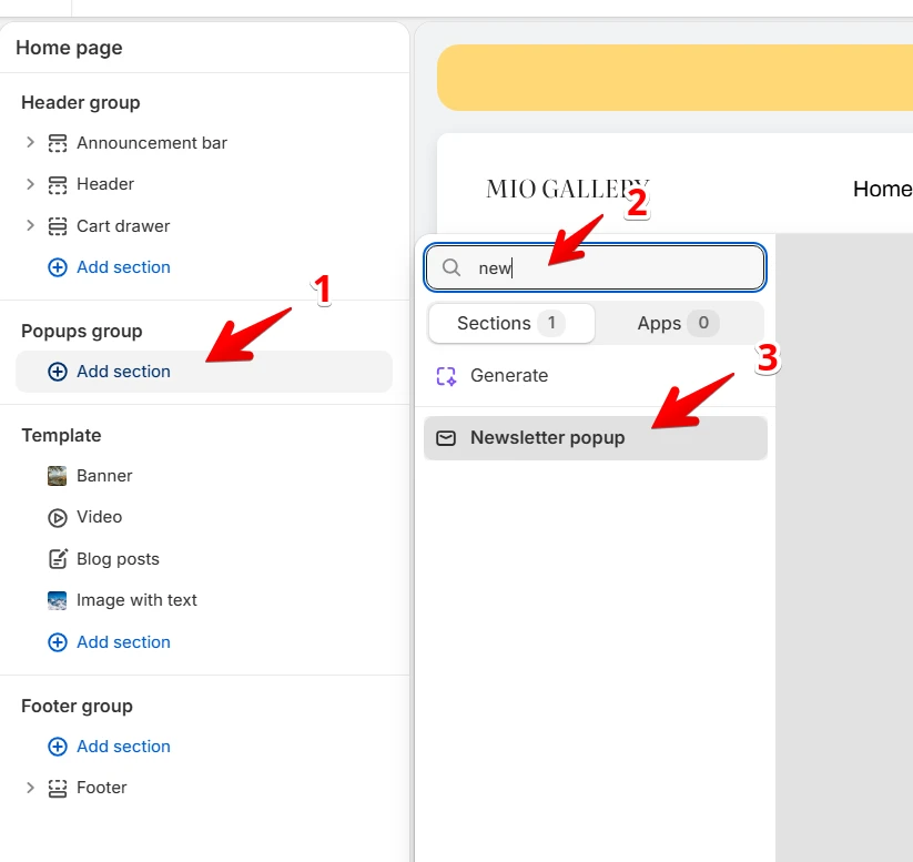 add Newsletter popup