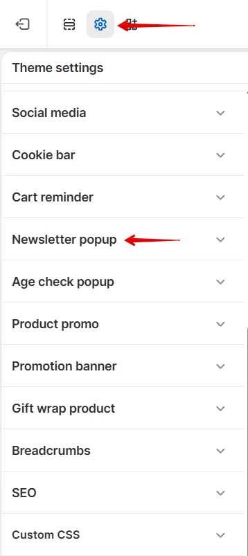 theme-settings-newsletter-popup